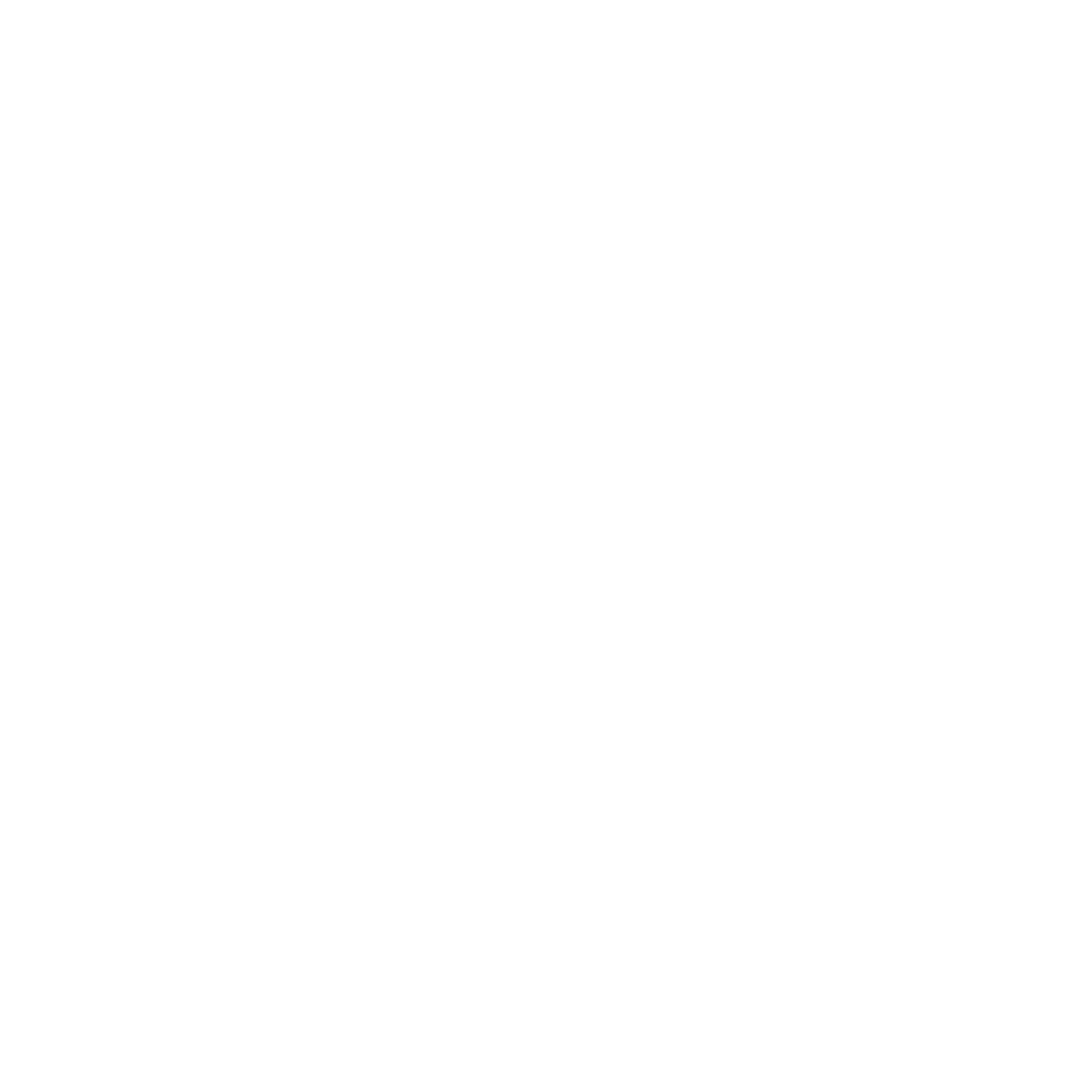 NEW COMMUNITY INVESTMENTS